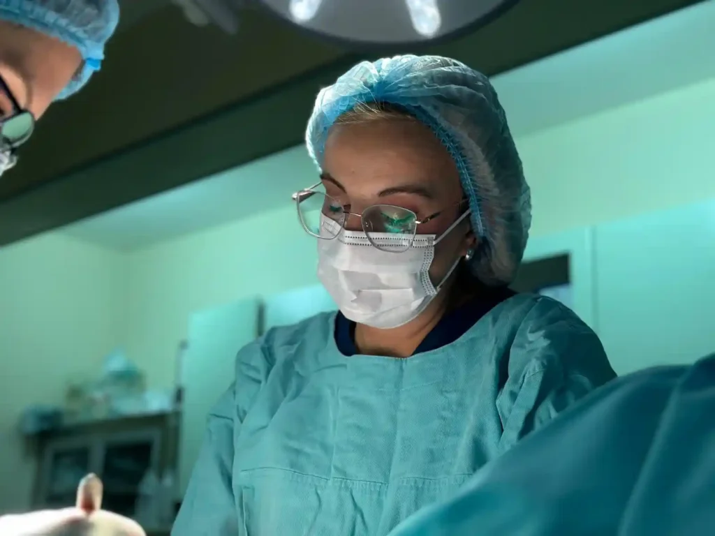 estetska hirurgija dr ivana kostic